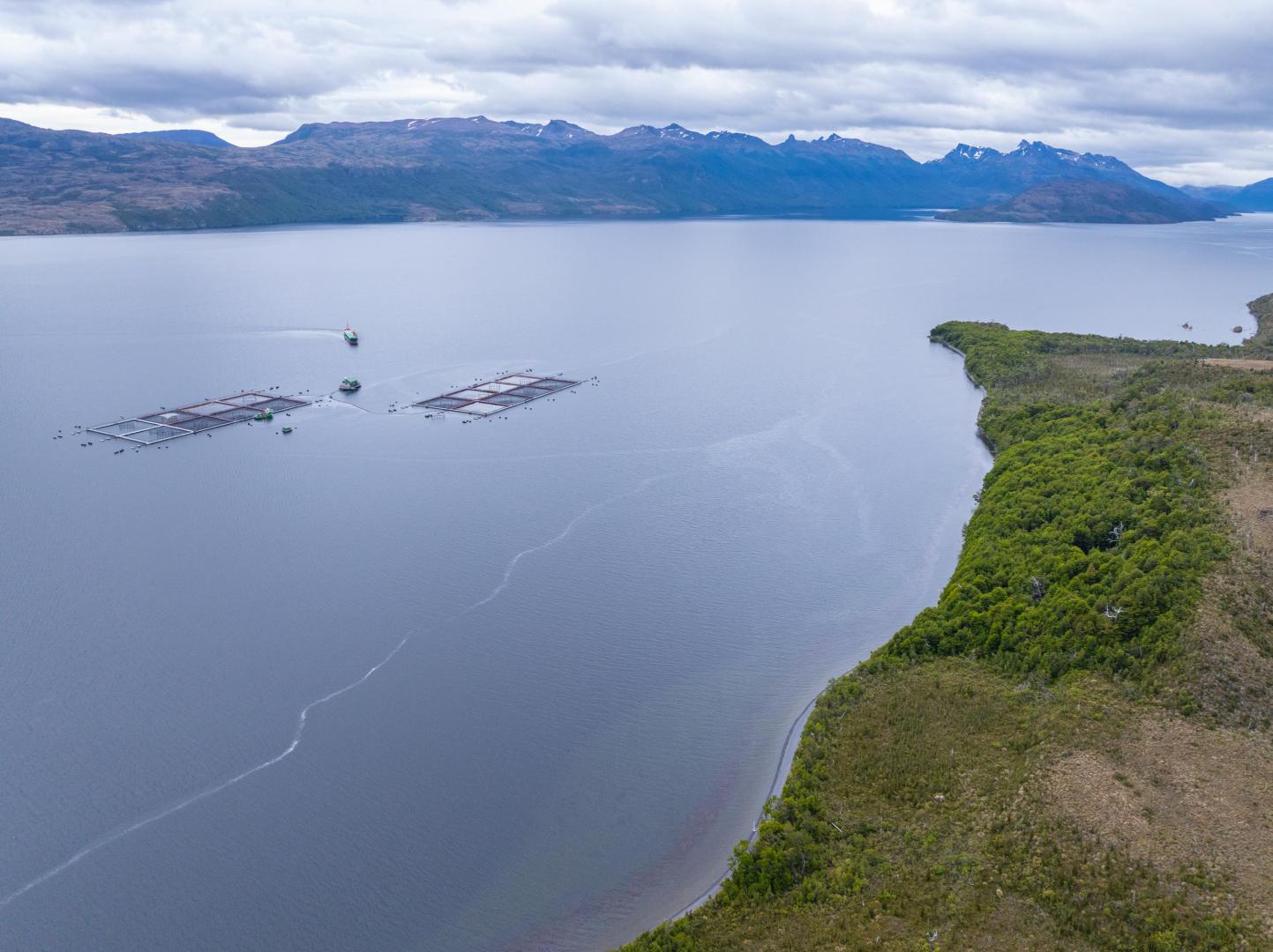 Isla Diego Portales – Private island in Chile, South America